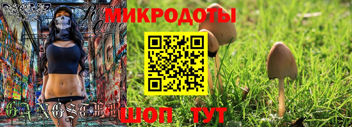 Псилоцибиновые грибы Psilocybine cubensis Ростов-на-Дону